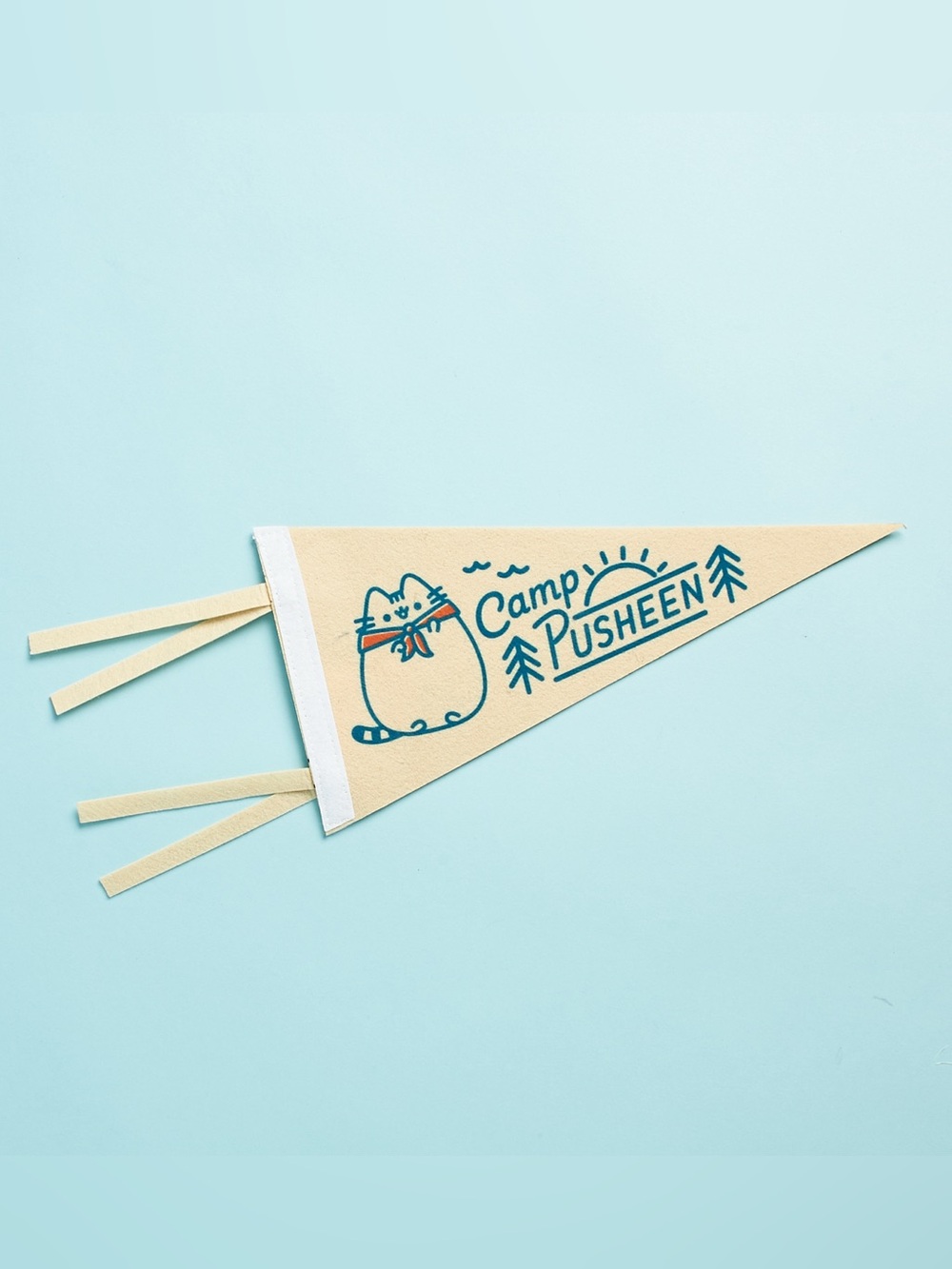 Pusheen Camp Triangle Pennant Banner Flag Summer 2020 Exclusive Culturefly Box